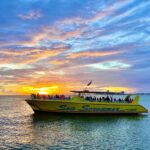 Sea screamer